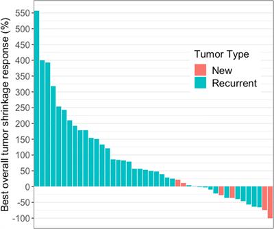 A Comparative Retrospective Study of Immunotherapy RANO Versus Standard RANO Criteria in Glioblastoma Patients Receiving Immune Checkpoint Inhibitor Therapy